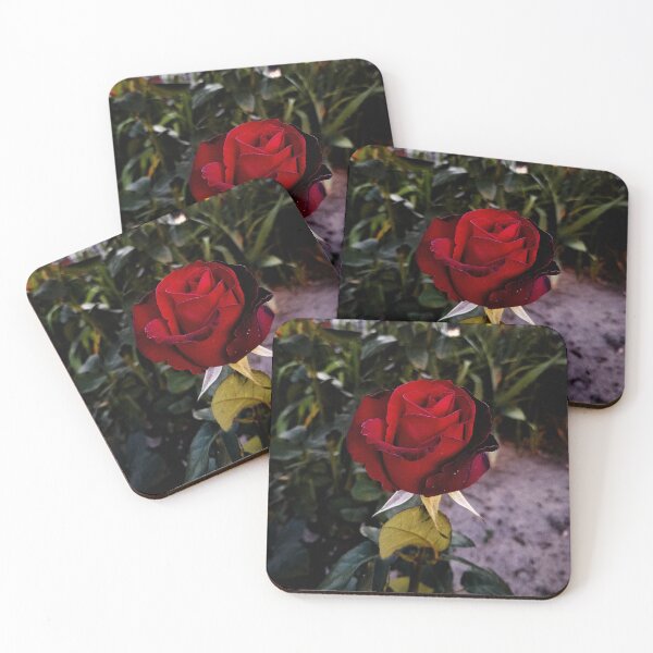 Item preview, Beautiful Red Rose Close Up  designed and sold by Madmazell-007.