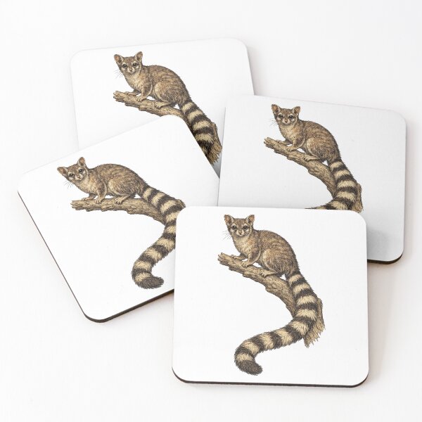 Item preview, Ringtail Museum Wildlife Plate designed and sold by KrungiT Design .