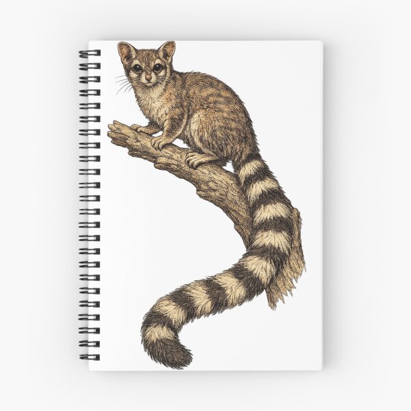 Item preview, Ringtail Museum Wildlife Plate designed and sold by KrungiT Design .
