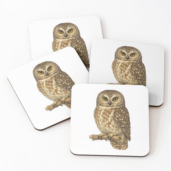 Item preview, Northern Saw-whet Owl Vintage Plate designed and sold by KrungiT Design .