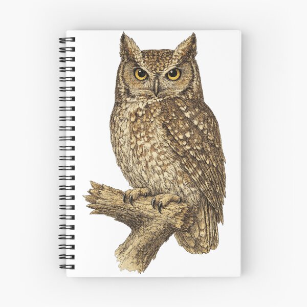 Item preview, Eastern Screech Owl Museum Plate designed and sold by KrungiT Design .