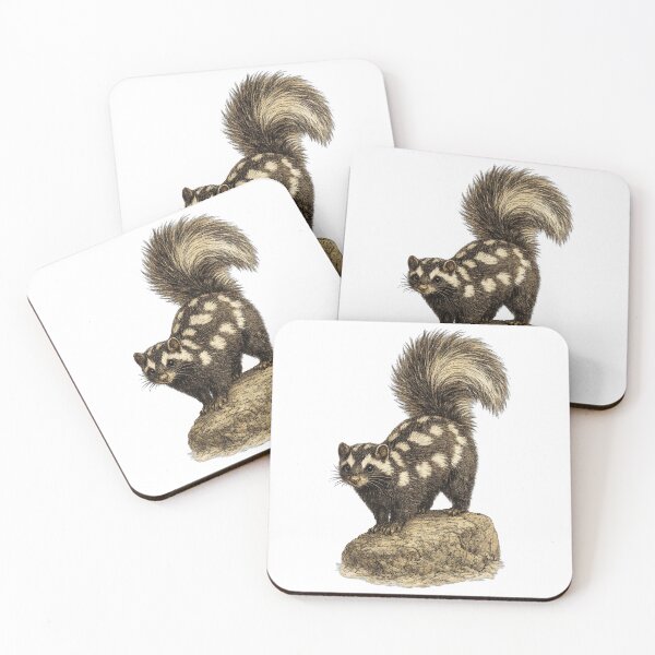 Item preview, Spotted Skunk Vintage Illustration designed and sold by KrungiT Design .