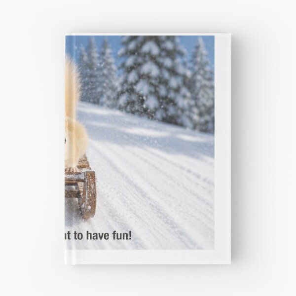 Item preview, Leucistic Red Squirrel Sledding in Winter designed and sold by James Cumming.