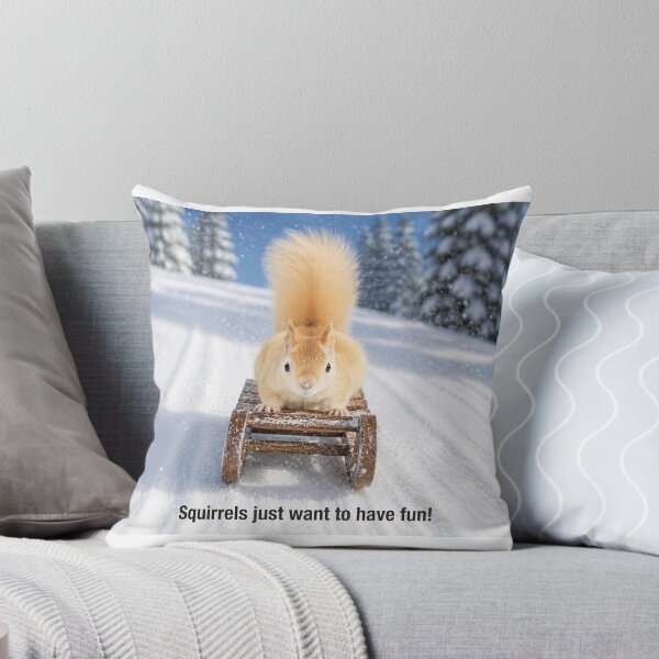 Item preview, Leucistic Red Squirrel Sledding in Winter designed and sold by James Cumming.