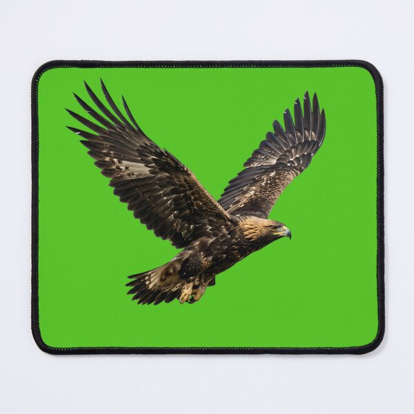 Item preview, Majestic Soaring Golden Eagle in Flight designed and sold by Utopian-Magic.