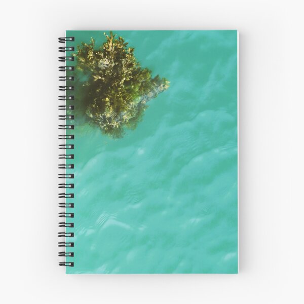 Item preview, bunch of seaweed designed and sold by ART22.