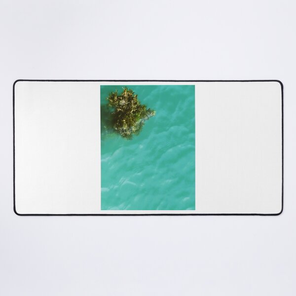Item preview, bunch of seaweed designed and sold by ART22.