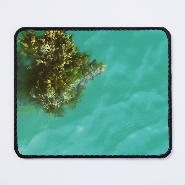 Item preview, bunch of seaweed designed and sold by ART22.