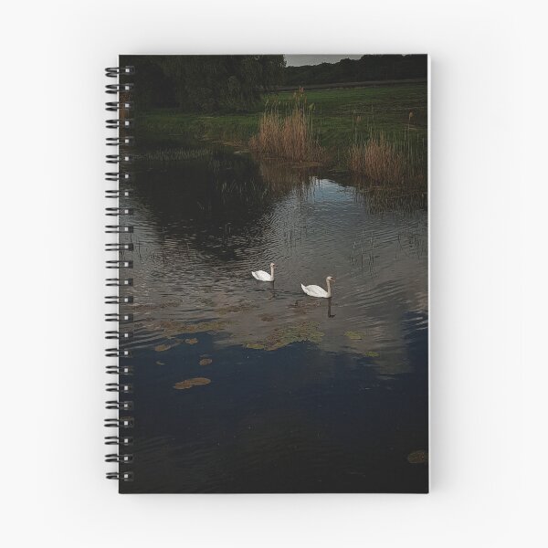 Item preview, Two Beautiful White Swans on a Dark Lake designed and sold by Madmazell-007.