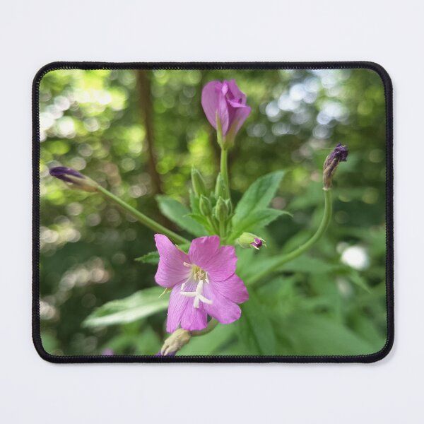 Item preview, Pink Wildflower Blooming in Forest with Soft Green Bokeh designed and sold by PhuongVoArt.