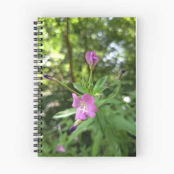 Item preview, Pink Wildflower Blooming in Forest with Soft Green Bokeh designed and sold by PhuongVoArt.