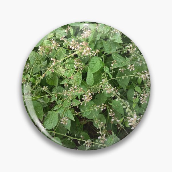 Item preview, Delicate Wildflowers and Green Foliage Growing in Natural Woodland designed and sold by PhuongVoArt.
