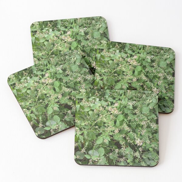 Item preview, Delicate Wildflowers and Green Foliage Growing in Natural Woodland designed and sold by PhuongVoArt.