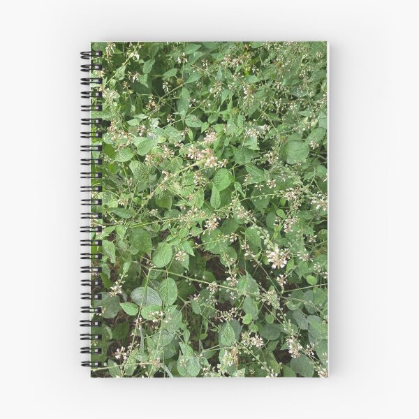 Item preview, Delicate Wildflowers and Green Foliage Growing in Natural Woodland designed and sold by PhuongVoArt.
