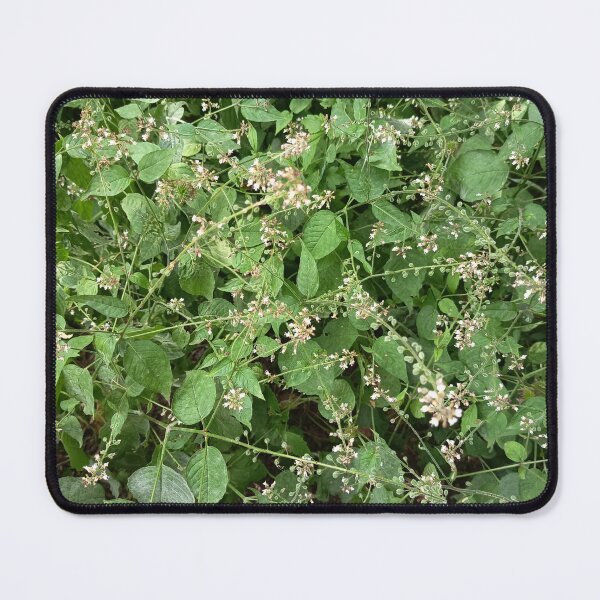 Item preview, Delicate Wildflowers and Green Foliage Growing in Natural Woodland designed and sold by PhuongVoArt.