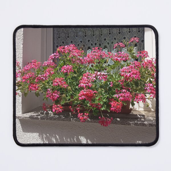 Item preview, Bright Pink Geranium Flowers Blooming on a Sunny Window Sill designed and sold by PhuongVoArt.