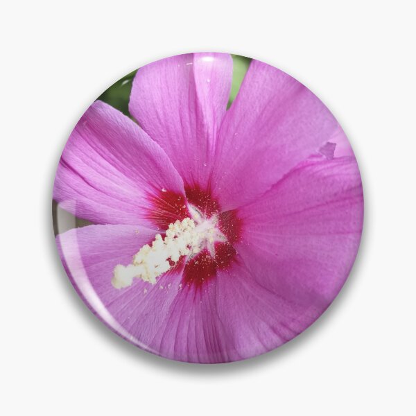 Artikelvorschau, Close Up of Purple Rose of Sharon Hibiscus Flower in Bloom entworfen und verkauft von PhuongVoArt.