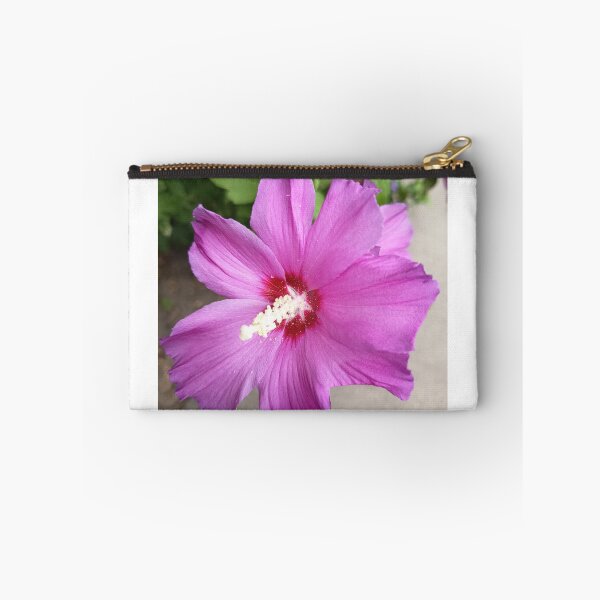 Item preview, Close Up of Purple Rose of Sharon Hibiscus Flower in Bloom designed and sold by PhuongVoArt.