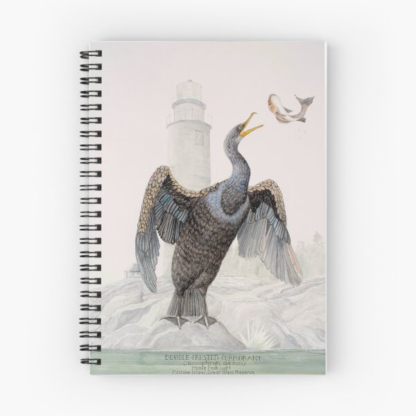 Item preview, Double-crested Cormorant | Maine Wildlife Watercolor designed and sold by vanessanesvig_studio.