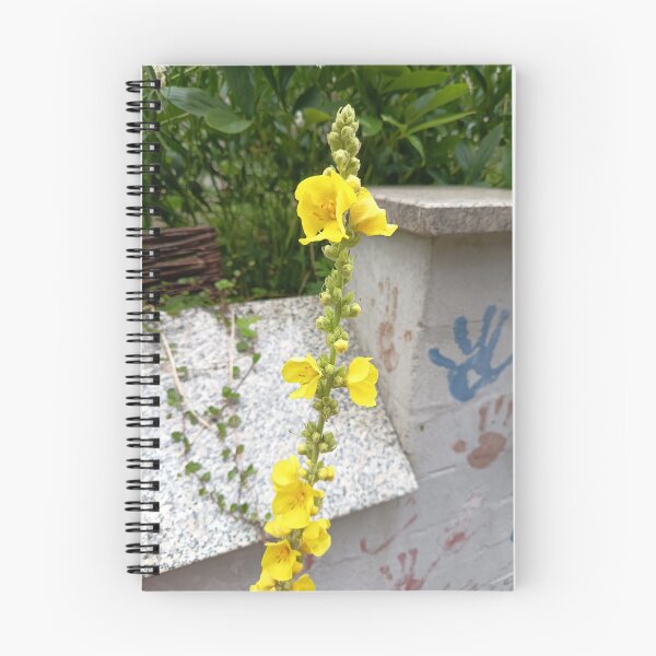 Item preview, Yellow Common Mullein Flower Blooming in an Urban Garden designed and sold by PhuongVoArt.