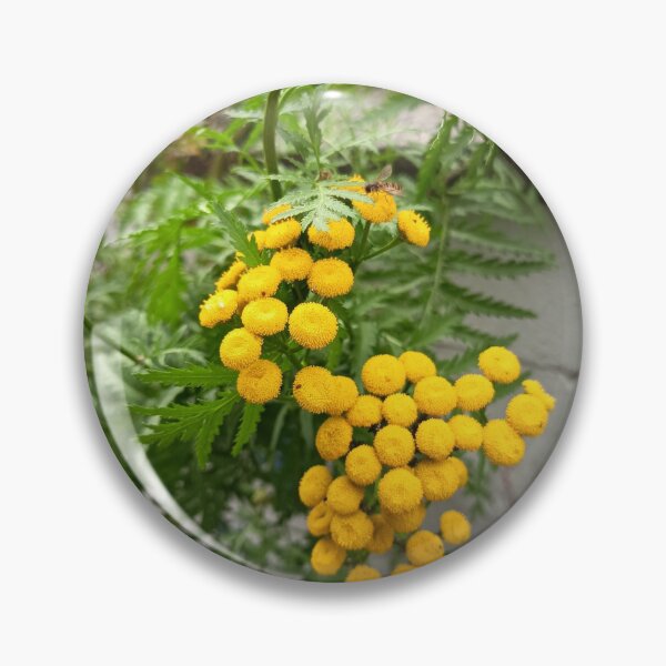 Item preview, Yellow Tansy Flowers Blooming with Hoverfly in a Garden designed and sold by PhuongVoArt.