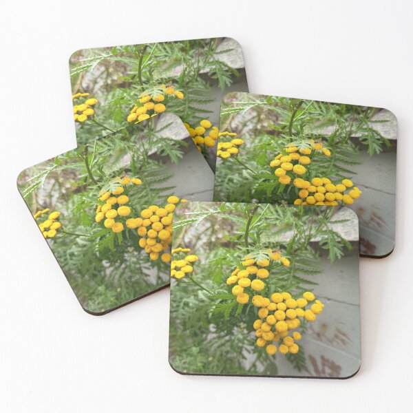 Item preview, Yellow Tansy Flowers Blooming with Hoverfly in a Garden designed and sold by PhuongVoArt.