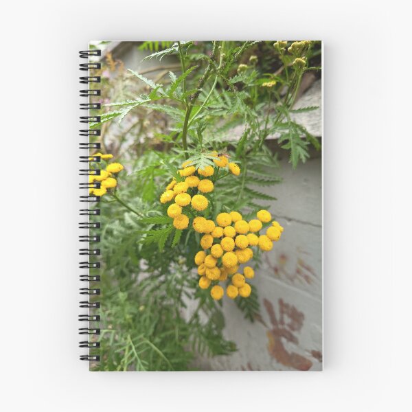 Item preview, Yellow Tansy Flowers Blooming with Hoverfly in a Garden designed and sold by PhuongVoArt.
