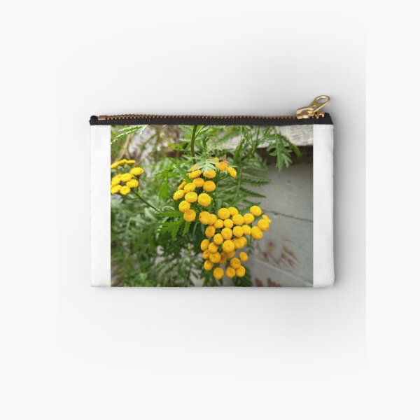 Item preview, Yellow Tansy Flowers Blooming with Hoverfly in a Garden designed and sold by PhuongVoArt.