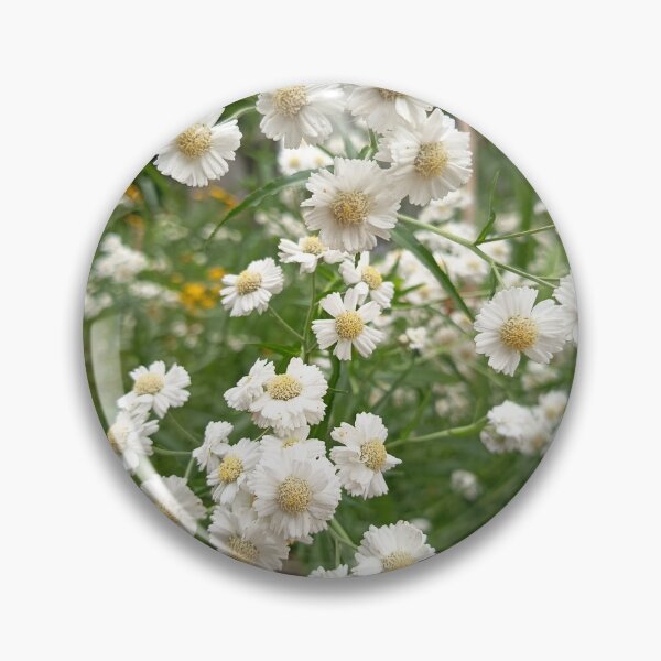 Item preview, White Daisy Fleabane Wildflowers Blooming in a Summer Garden designed and sold by PhuongVoArt.