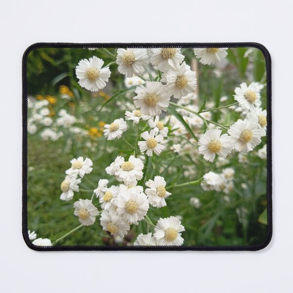 Item preview, White Daisy Fleabane Wildflowers Blooming in a Summer Garden designed and sold by PhuongVoArt.