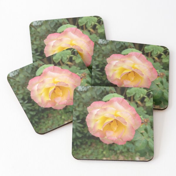 Item preview, Close Up of Yellow and Pink Roses Blooming in a Garden designed and sold by PhuongVoArt.