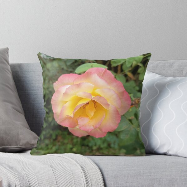 Artikelvorschau, Close Up of Yellow and Pink Rose Blooming in a Garden entworfen und verkauft von PhuongVoArt.