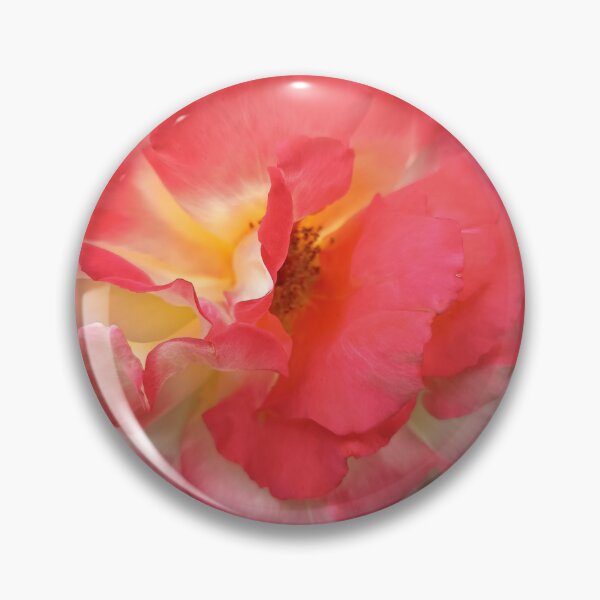 Item preview, Close Up of Red and Yellow Bicolor Rose Blooming in a Garden designed and sold by PhuongVoArt.