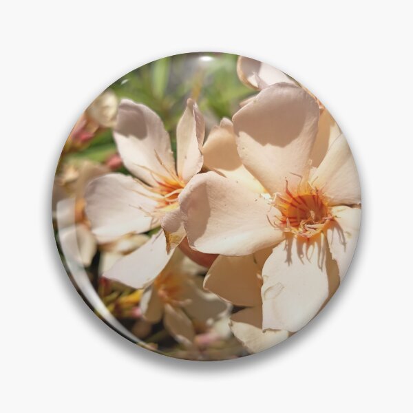 Item preview, Close Up of White Oleander Flowers Blooming in Bright Sunlight designed and sold by PhuongVoArt.