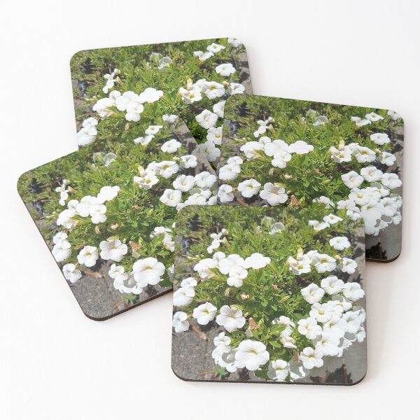 Item preview, White Calibrachoa Flowers Blooming in a Sunny Garden Planter designed and sold by PhuongVoArt.