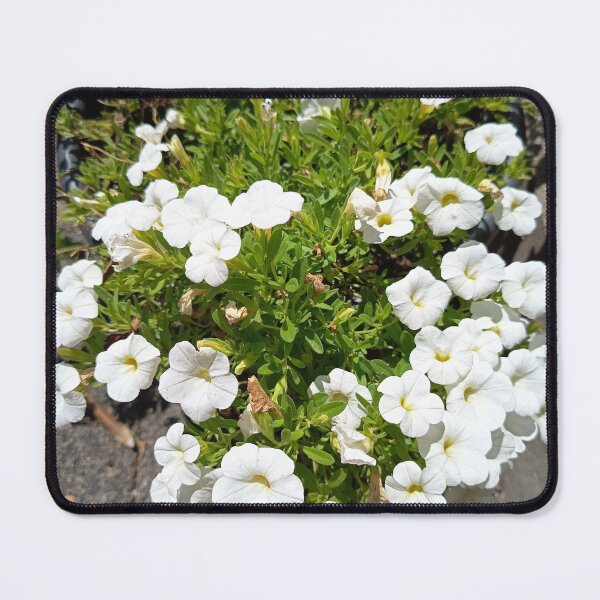 Item preview, White Calibrachoa Flowers Blooming in a Sunny Garden Planter designed and sold by PhuongVoArt.