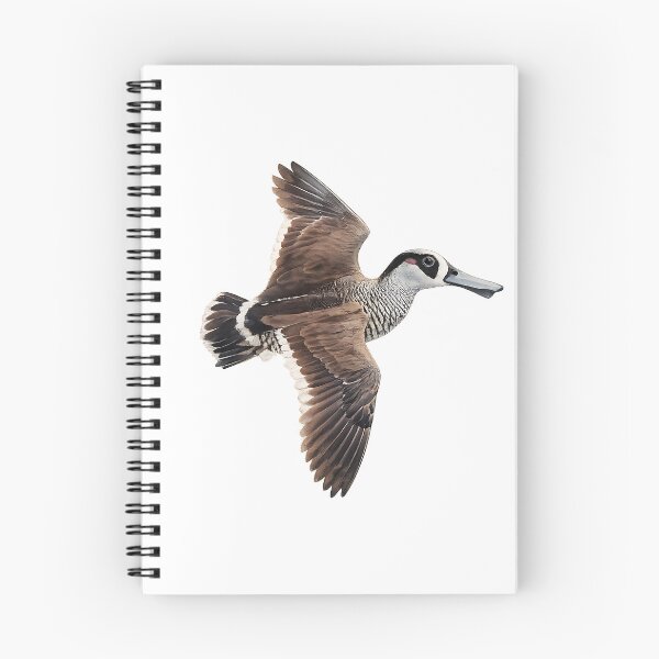 Item preview, Pink-eared Duck in Flight Watercolour Painting designed and sold by Jaruart.