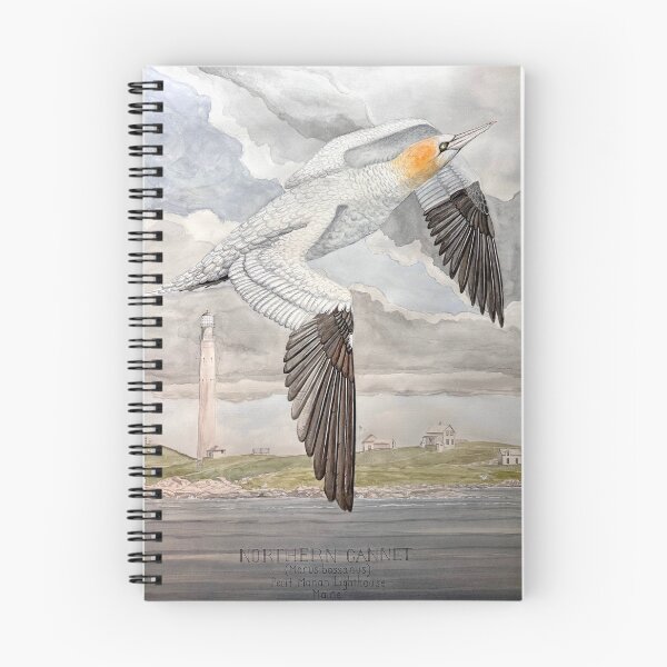 Item preview, Northern Gannet | Maine Wildlife Watercolor designed and sold by vanessanesvig_studio.
