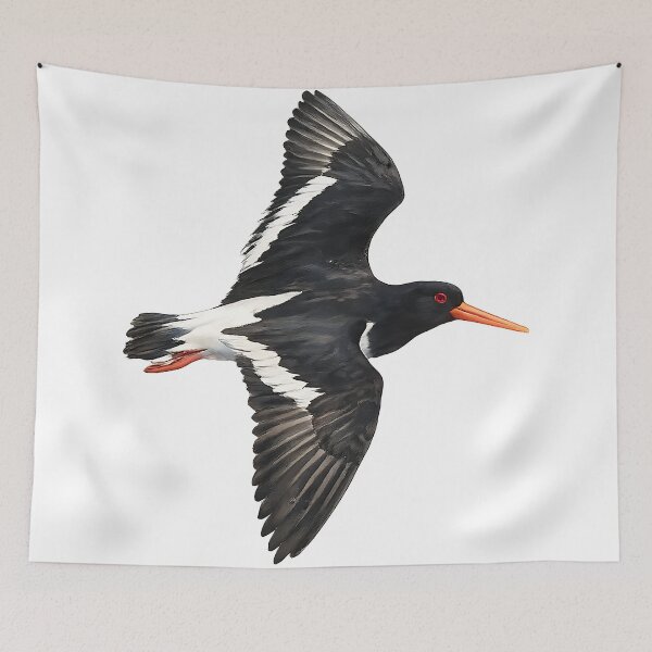 Item preview, Pied Oystercatcher in Flight Watercolour Painting designed and sold by Jaruart.