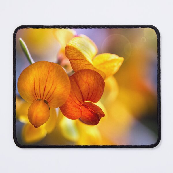 Item preview, Golden Whisper | Sweet Pea Macro Photography designed and sold by Kimberly Palmer.