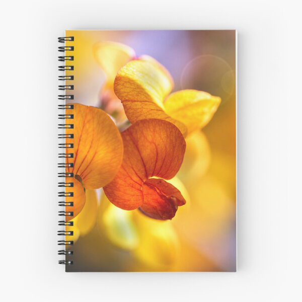 Item preview, Golden Whisper | Sweet Pea Macro Photography designed and sold by Kimberly Palmer.