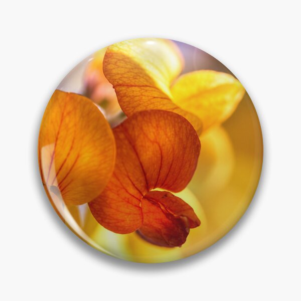Item preview, Golden Whisper | Sweet Pea Macro Photography designed and sold by Kimberly Palmer.