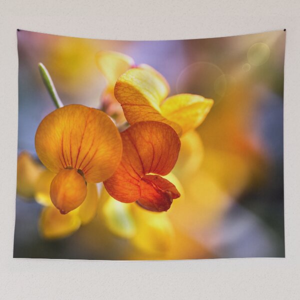 Item preview, Golden Whisper | Sweet Pea Macro Photography designed and sold by Kimberly Palmer.