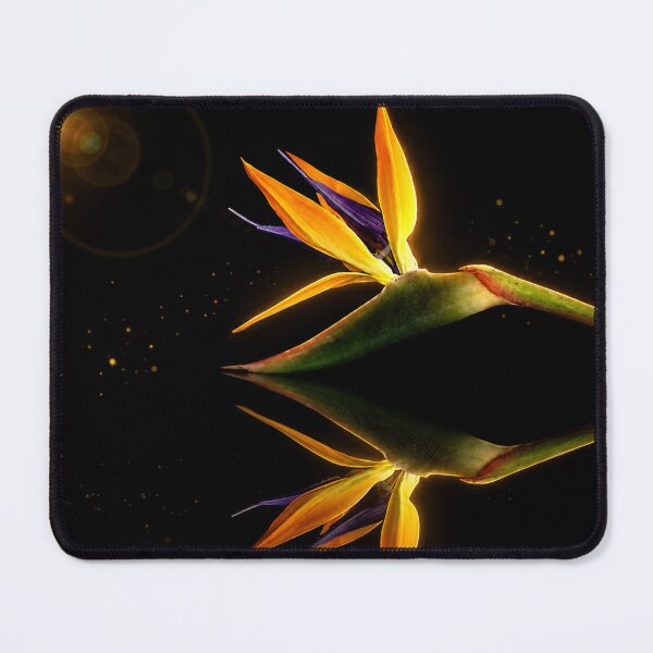 Item preview, Golden Reflection – Bird of Paradise on Black designed and sold by Kimberly Palmer.