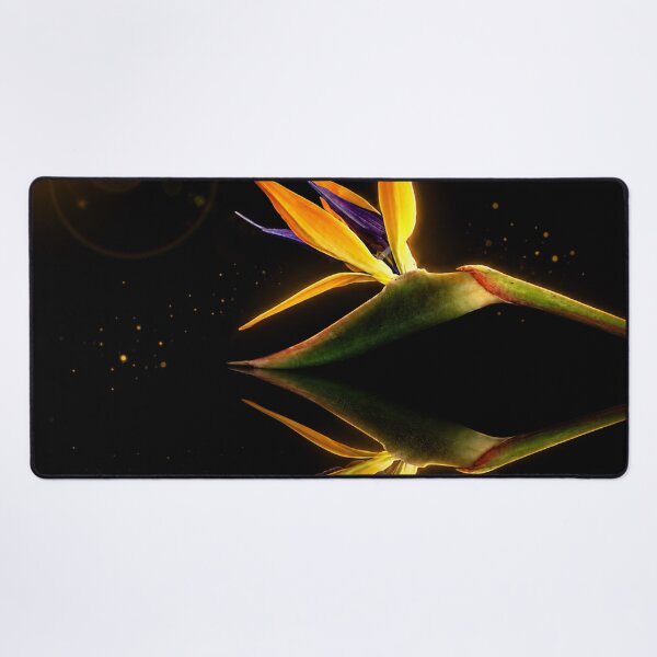 Item preview, Golden Reflection – Bird of Paradise on Black designed and sold by Kimberly Palmer.