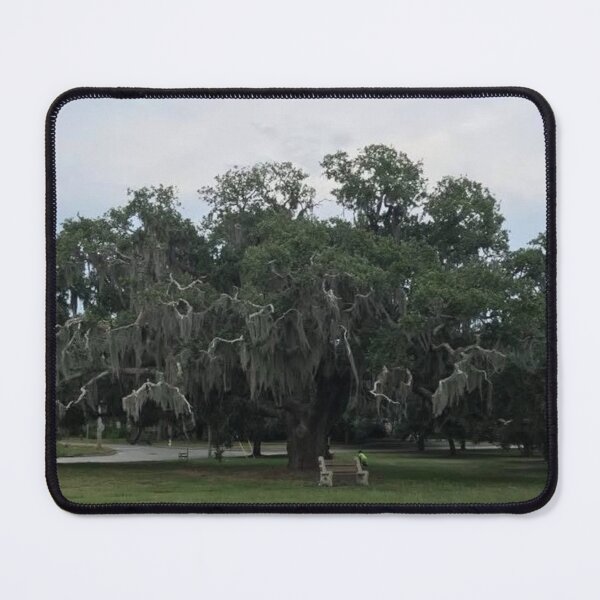 Item preview, Mossy Southern Live Oak LA designed and sold by Donlan-2211.