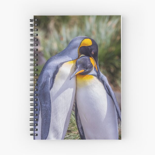 Item preview, King Penguin Social Bonding South Georgia Island designed and sold by PhotoArt by Joan Carroll.