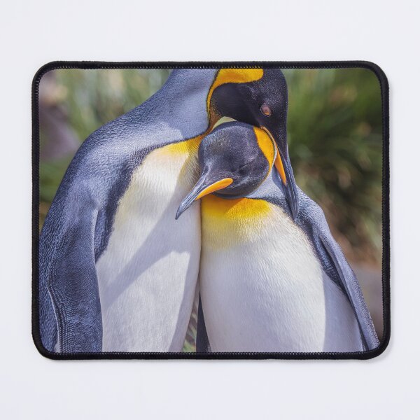 Item preview, King Penguin Social Bonding South Georgia Island designed and sold by PhotoArt by Joan Carroll.