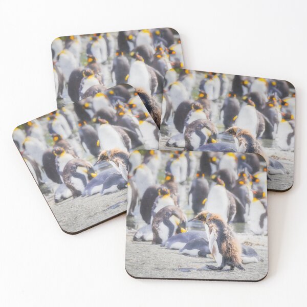 Item preview, Scruffy King Penguin South Georgia Island designed and sold by PhotoArt by Joan Carroll.