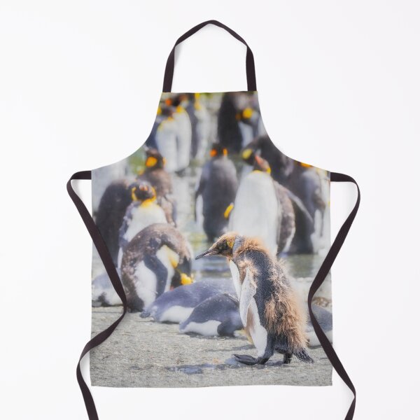Item preview, Scruffy King Penguin South Georgia Island designed and sold by PhotoArt by Joan Carroll.